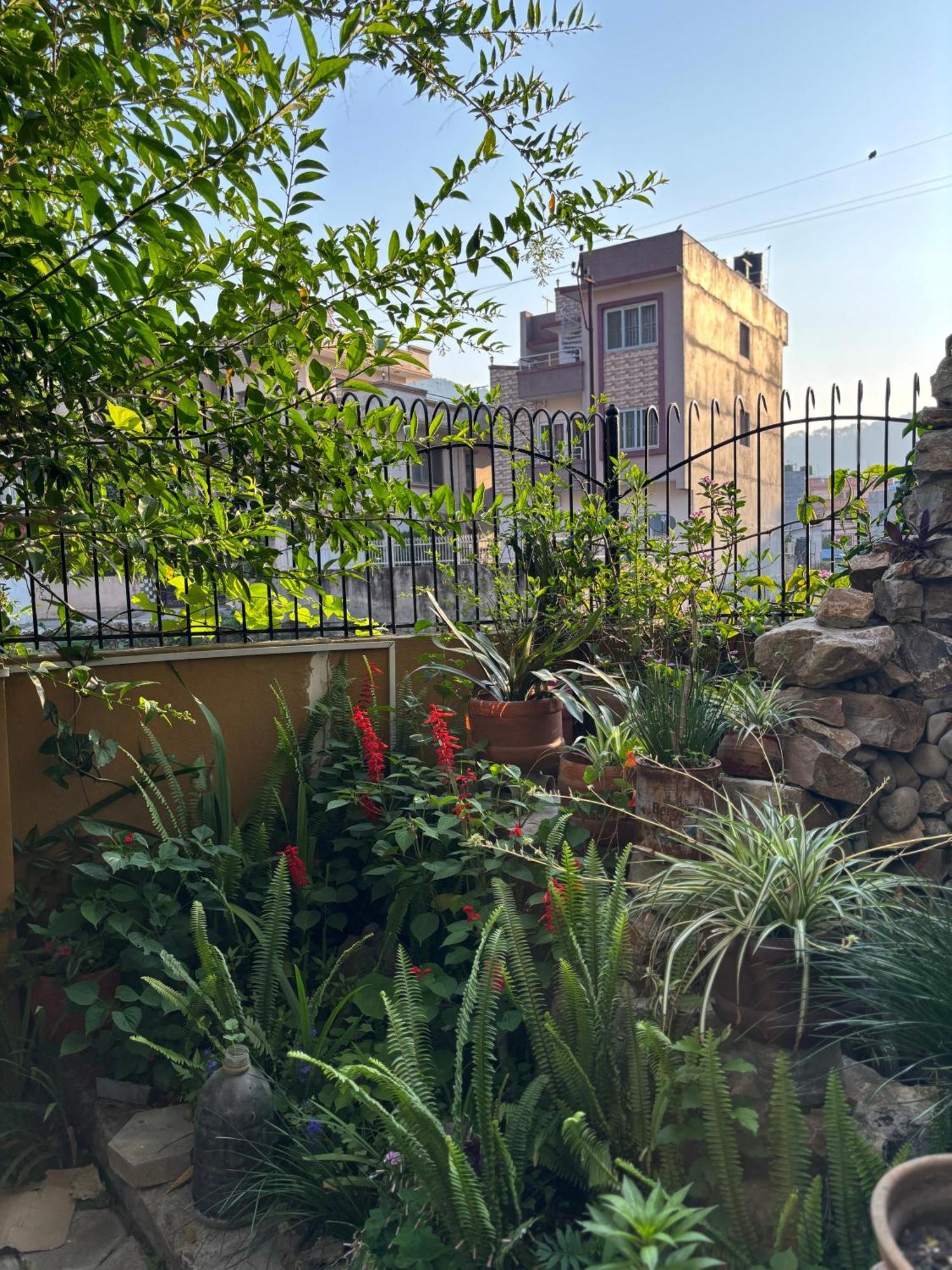 Mums Homestay & Studio Apartments 카트만두 외부 사진